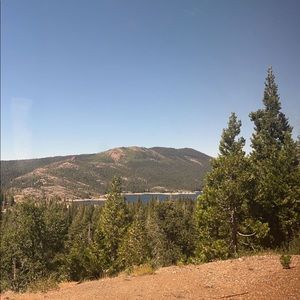 Meet your Posher, Luci